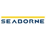 seaborn logo